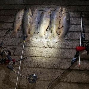 Meet your Posher, Victor